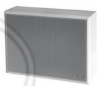 Wall Mounted Speakers